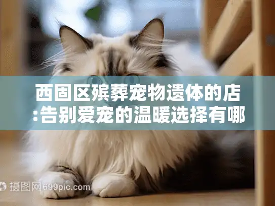 西固区殡葬宠物遗体的店:告别爱宠的温暖选择有哪些