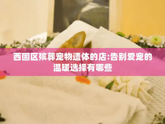 西固区殡葬宠物遗体的店:告别爱宠的温暖选择有哪些
