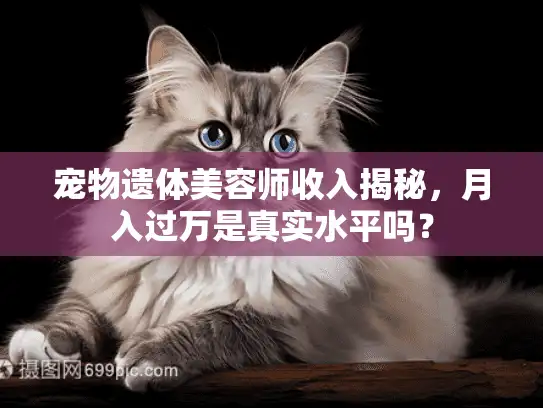 宠物遗体美容师收入揭秘，月入过万是真实水平吗？