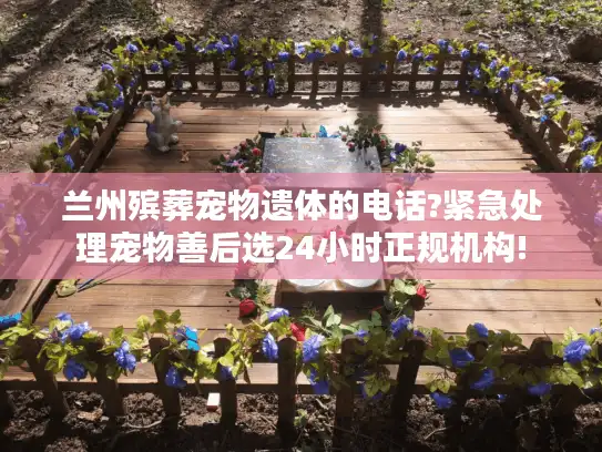 兰州殡葬宠物遗体的电话?紧急处理宠物善后选24小时正规机构!