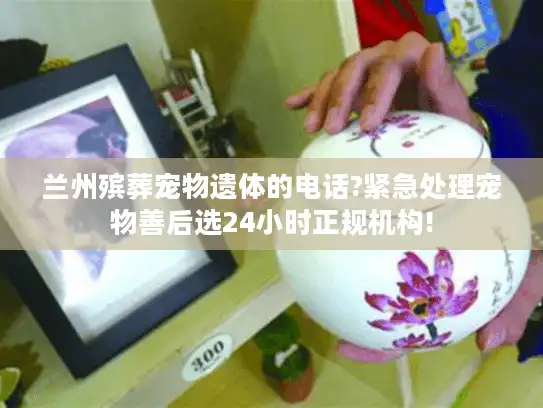 兰州殡葬宠物遗体的电话?紧急处理宠物善后选24小时正规机构!
