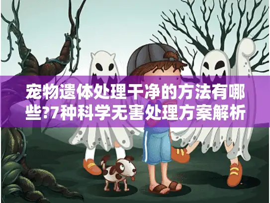 宠物遗体处理干净的方法有哪些?7种科学无害处理方案解析