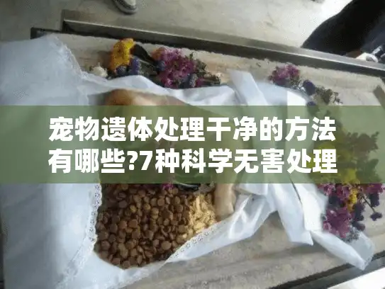 宠物遗体处理干净的方法有哪些?7种科学无害处理方案解析
