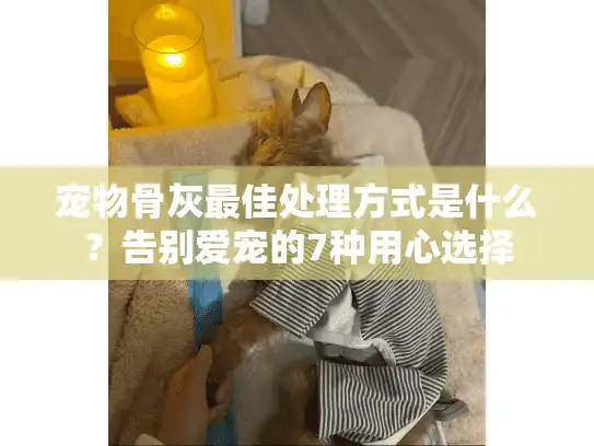 宠物骨灰最佳处理方式是什么？告别爱宠的7种用心选择