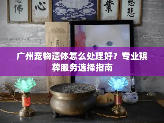 广州宠物遗体怎么处理好？专业殡葬服务选择指南