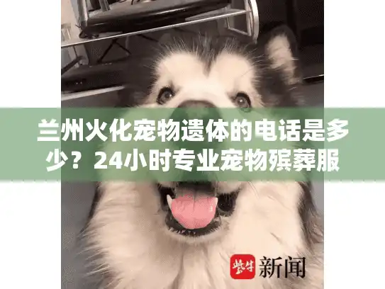 兰州火化宠物遗体的电话是多少？24小时专业宠物殡葬服务指南