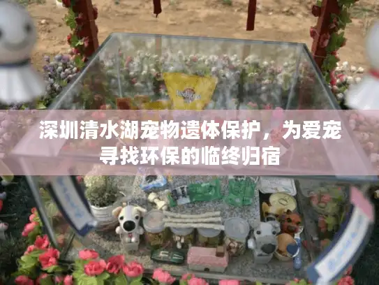 深圳清水湖宠物遗体保护，为爱宠寻找环保的临终归宿