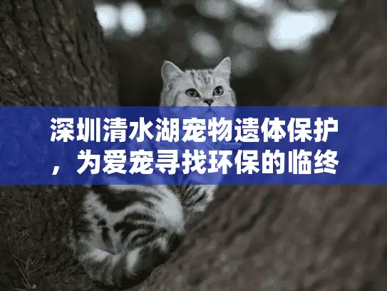 深圳清水湖宠物遗体保护，为爱宠寻找环保的临终归宿