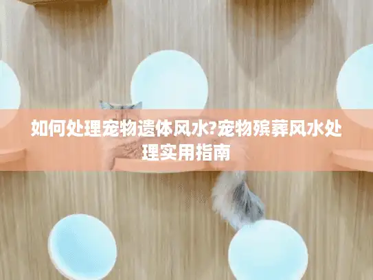 如何处理宠物遗体风水?宠物殡葬风水处理实用指南