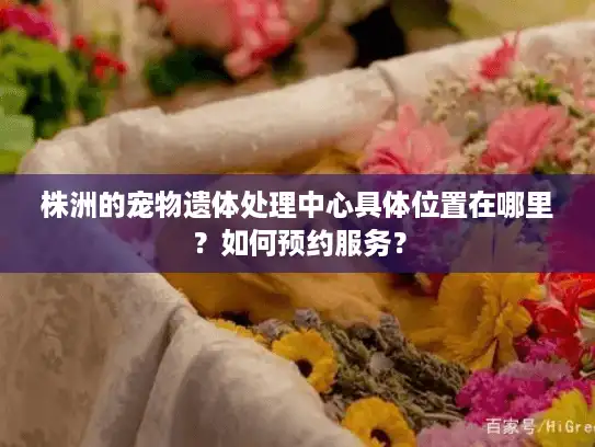株洲的宠物遗体处理中心具体位置在哪里？如何预约服务？