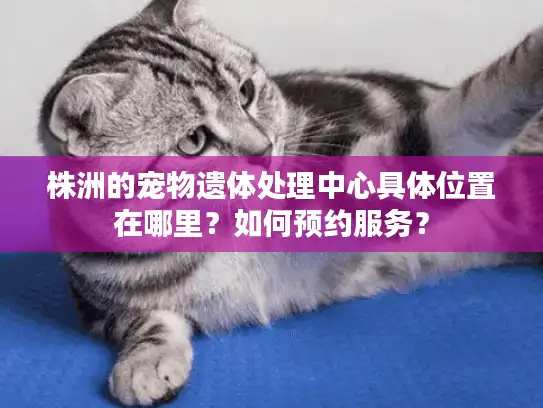 株洲的宠物遗体处理中心具体位置在哪里？如何预约服务？