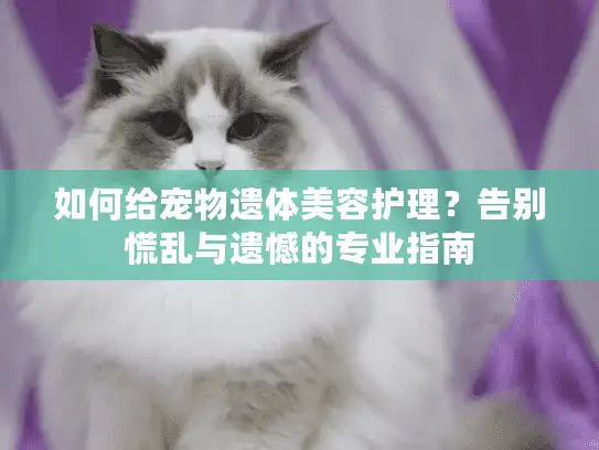 如何给宠物遗体美容护理？告别慌乱与遗憾的专业指南