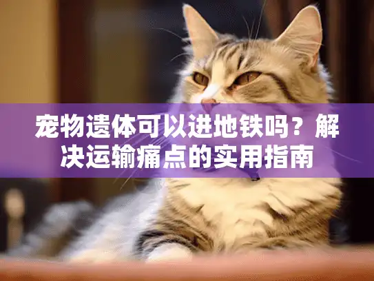 宠物遗体可以进地铁吗？解决运输痛点的实用指南