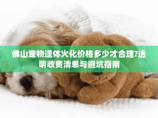 佛山宠物遗体火化价格多少才合理?透明收费清单与避坑指南