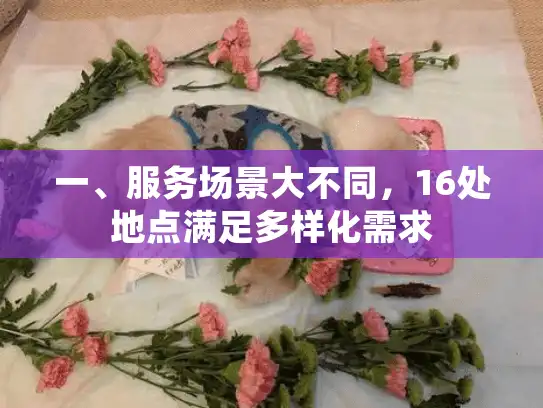 一、服务场景大不同，16处地点满足多样化需求