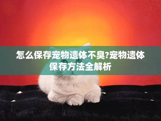 怎么保存宠物遗体不臭?宠物遗体保存方法全解析