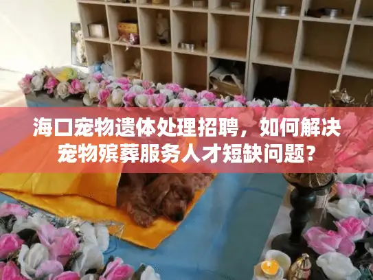 海口宠物遗体处理招聘，如何解决宠物殡葬服务人才短缺问题？