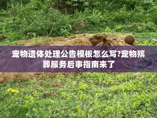 宠物遗体处理公告模板怎么写?宠物殡葬服务后事指南来了