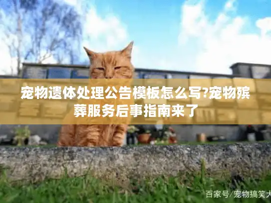 宠物遗体处理公告模板怎么写?宠物殡葬服务后事指南来了