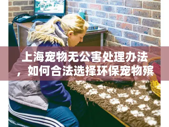上海宠物无公害处理办法，如何合法选择环保宠物殡葬服务？