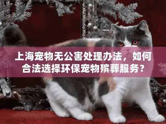 上海宠物无公害处理办法，如何合法选择环保宠物殡葬服务？