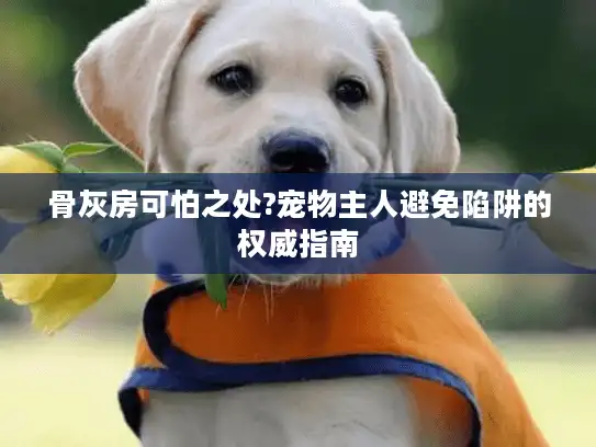 骨灰房可怕之处?宠物主人避免陷阱的权威指南