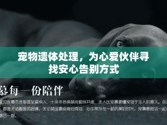 宠物遗体处理，为心爱伙伴寻找安心告别方式