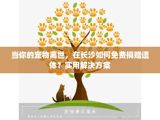 当你的宠物离世，在长沙如何免费捐赠遗体？实用解决方案