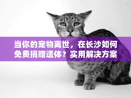当你的宠物离世，在长沙如何免费捐赠遗体？实用解决方案