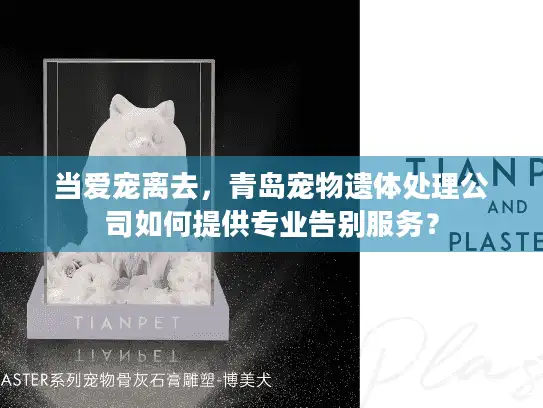 当爱宠离去，青岛宠物遗体处理公司如何提供专业告别服务？