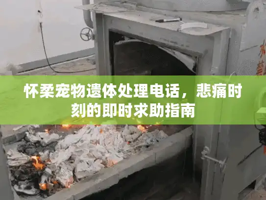 怀柔宠物遗体处理电话，悲痛时刻的即时求助指南