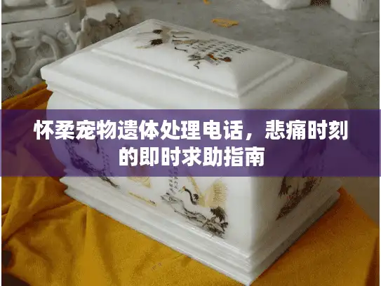 怀柔宠物遗体处理电话，悲痛时刻的即时求助指南