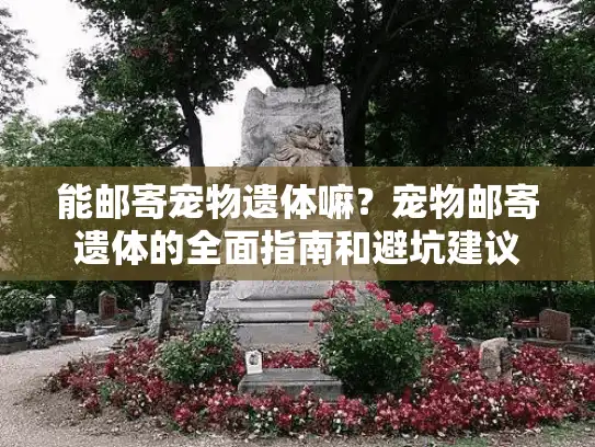 能邮寄宠物遗体嘛？宠物邮寄遗体的全面指南和避坑建议