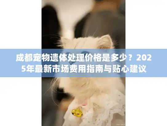 成都宠物遗体处理价格是多少？2025年最新市场费用指南与贴心建议