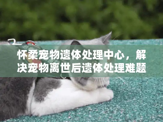 怀柔宠物遗体处理中心，解决宠物离世后遗体处理难题