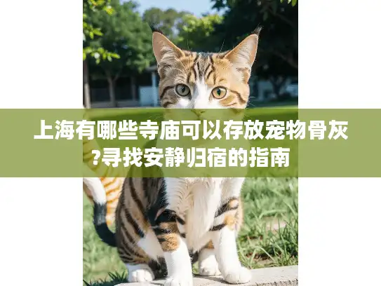 上海有哪些寺庙可以存放宠物骨灰?寻找安静归宿的指南