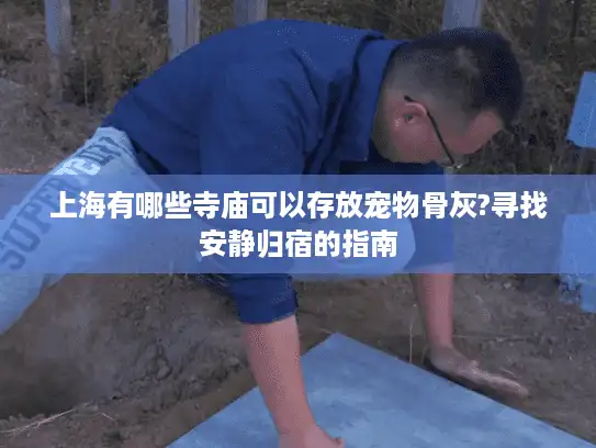 上海有哪些寺庙可以存放宠物骨灰?寻找安静归宿的指南