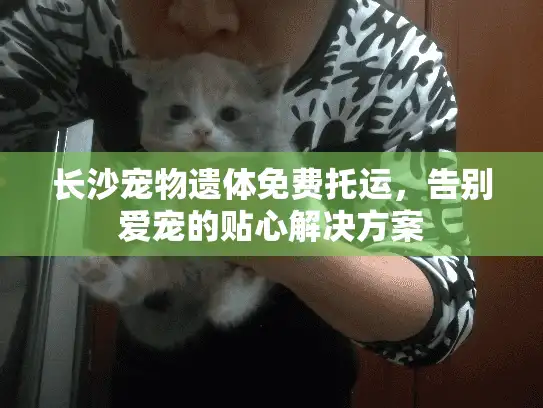 长沙宠物遗体免费托运，告别爱宠的贴心解决方案