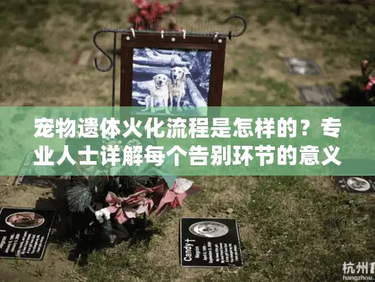 宠物遗体火化流程是怎样的？专业人士详解每个告别环节的意义