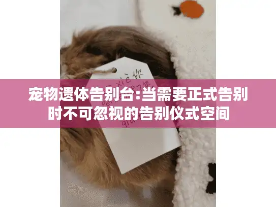 宠物遗体告别台:当需要正式告别时不可忽视的告别仪式空间