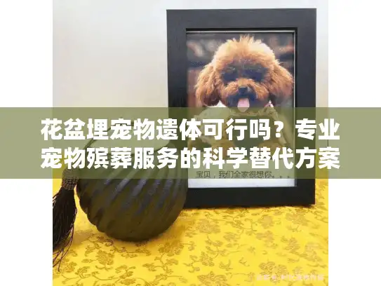 花盆埋宠物遗体可行吗？专业宠物殡葬服务的科学替代方案