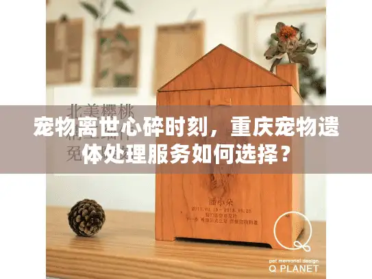 宠物离世心碎时刻，重庆宠物遗体处理服务如何选择？