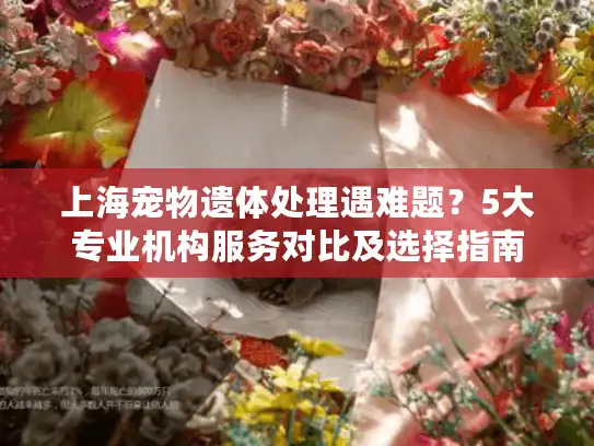 上海宠物遗体处理遇难题？5大专业机构服务对比及选择指南