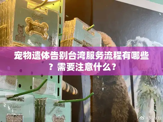宠物遗体告别台湾服务流程有哪些？需要注意什么？