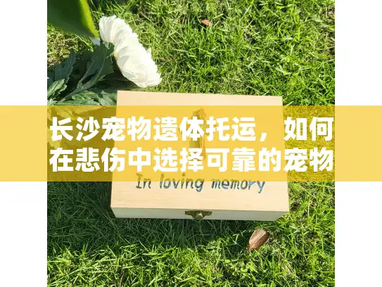 长沙宠物遗体托运，如何在悲伤中选择可靠的宠物宠物殡葬服务？