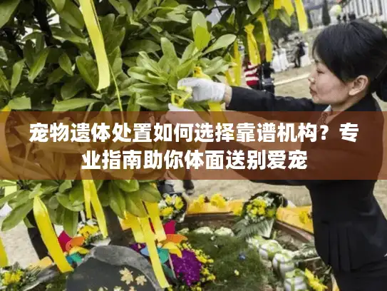 宠物遗体处置如何选择靠谱机构？专业指南助你体面送别爱宠