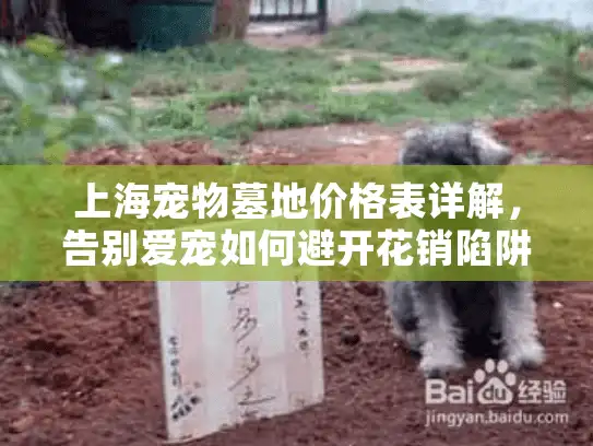 上海宠物墓地价格表详解，告别爱宠如何避开花销陷阱？