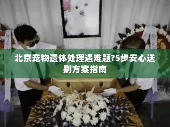北京宠物遗体处理遇难题?5步安心送别方案指南