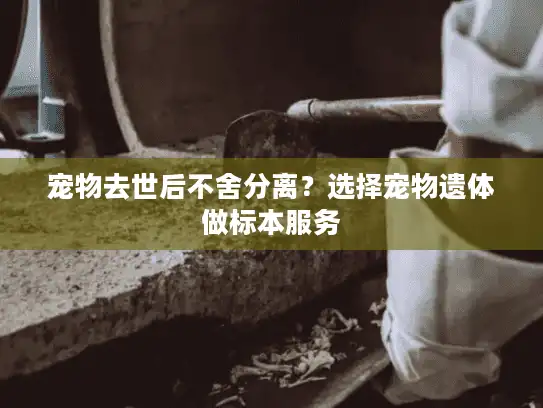 宠物去世后不舍分离？选择宠物遗体做标本服务