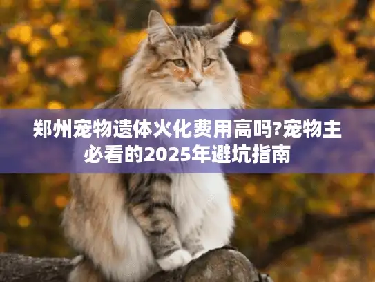 郑州宠物遗体火化费用高吗?宠物主必看的2025年避坑指南